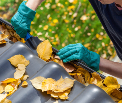 Gutter Cleaning